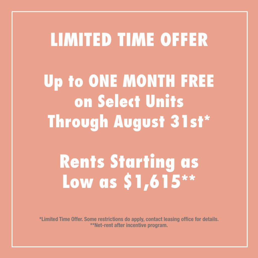 Building Amenities | Luxury Apartments in Jersey City25 Senate Place